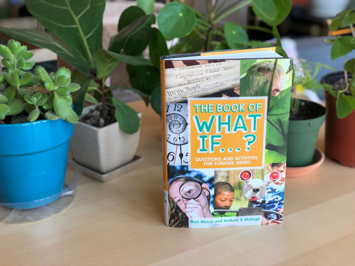 Published The Book Of What If…?